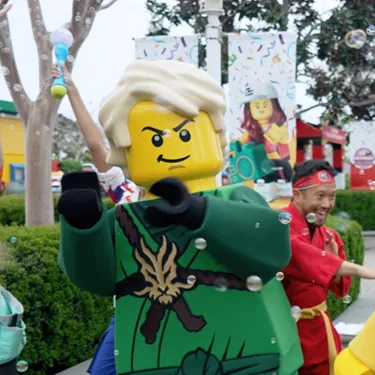 LEGO Parade Ninja Lloyd