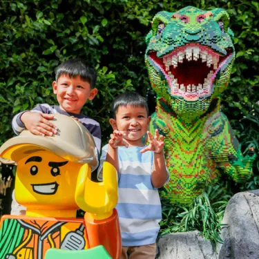 LEGO Models
