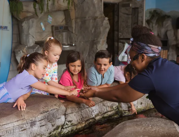 Kids at touchpools in SEA LIFE