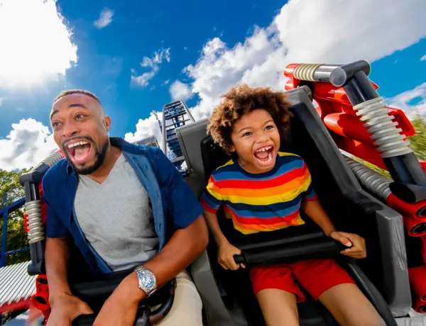 Flash Coaster WEB 7X5 (1400 X 1000 Px)