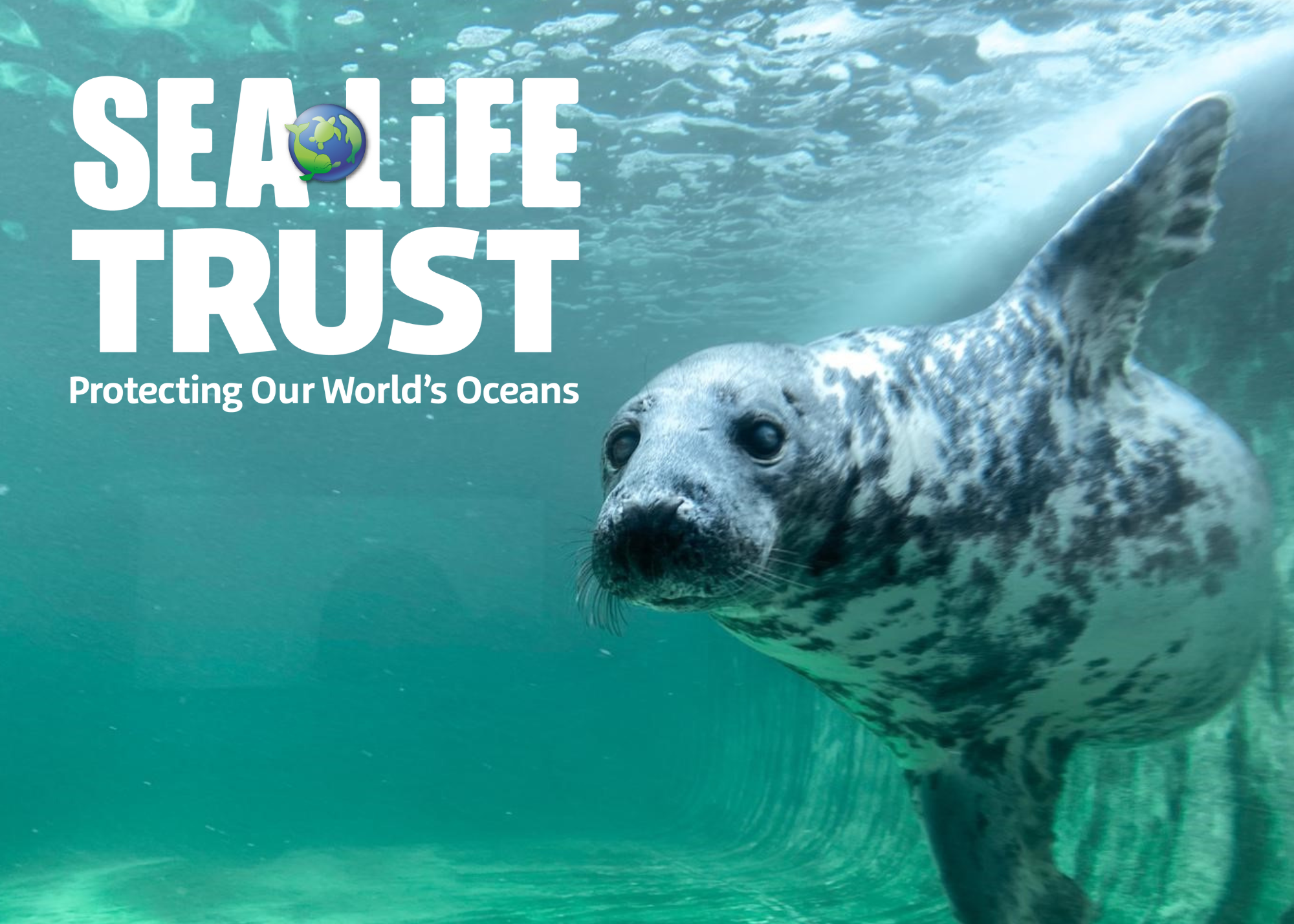 Protect Our World's Oceans with Seal at LEGOLAND Florida Sea Life