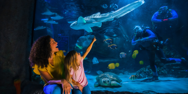 Mother and Daughter looking at divers in aquarium