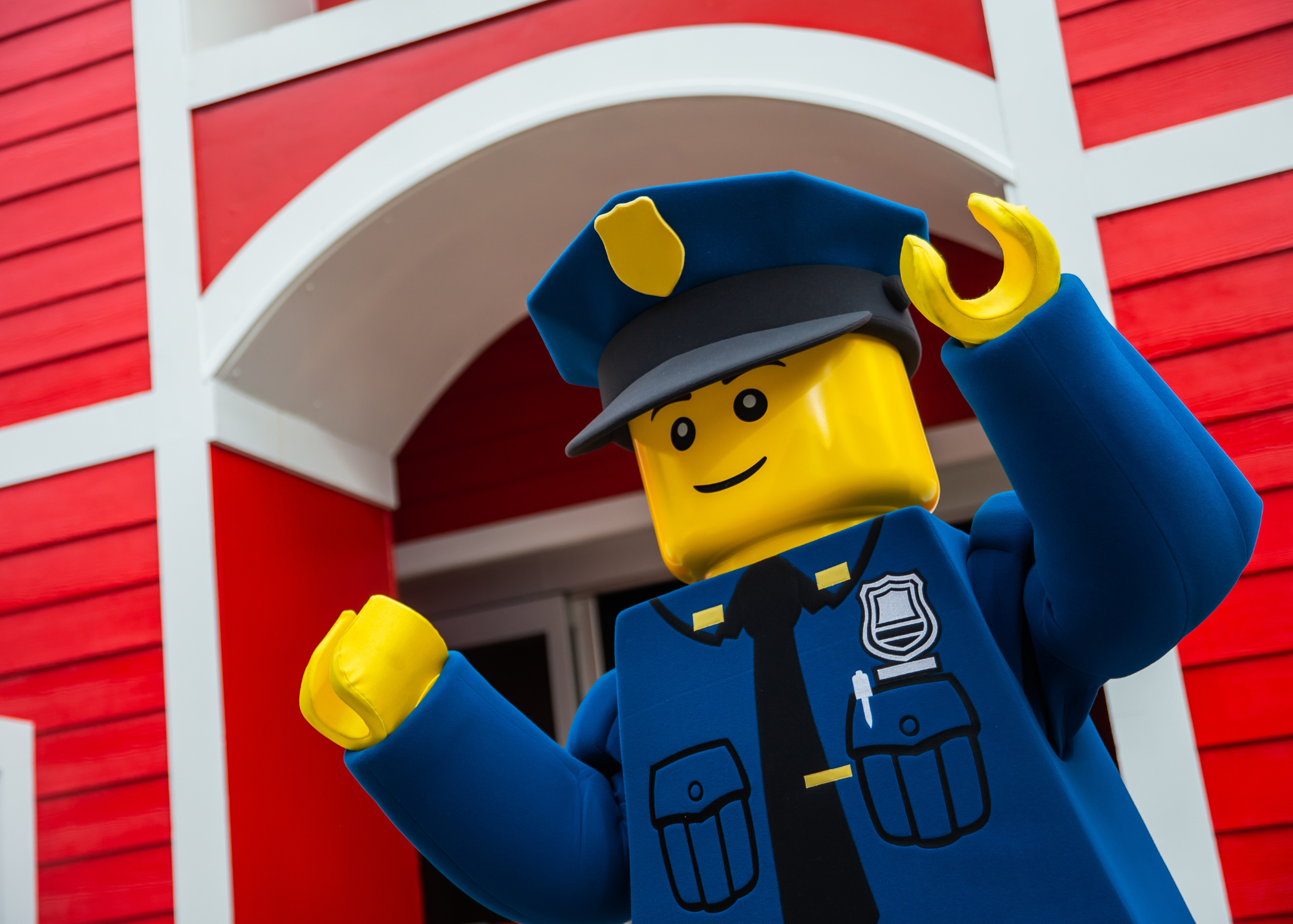 Police Meet and Green Minifigure